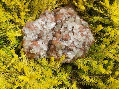 Stilbite and Apophyllite Cluster ~ Raw & Natural
